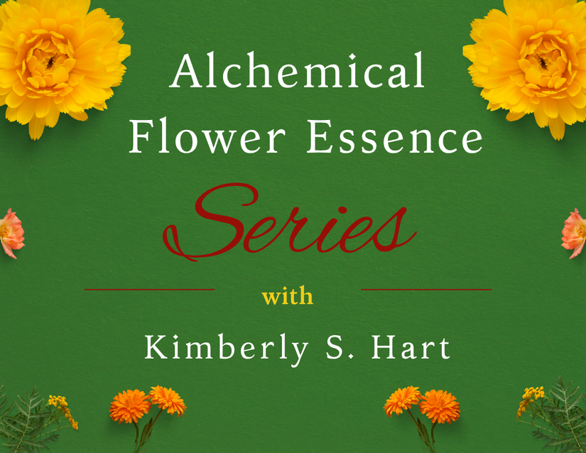 We’re Thrilled to Announce the Alchemical Flower Essences Course is Now Available!