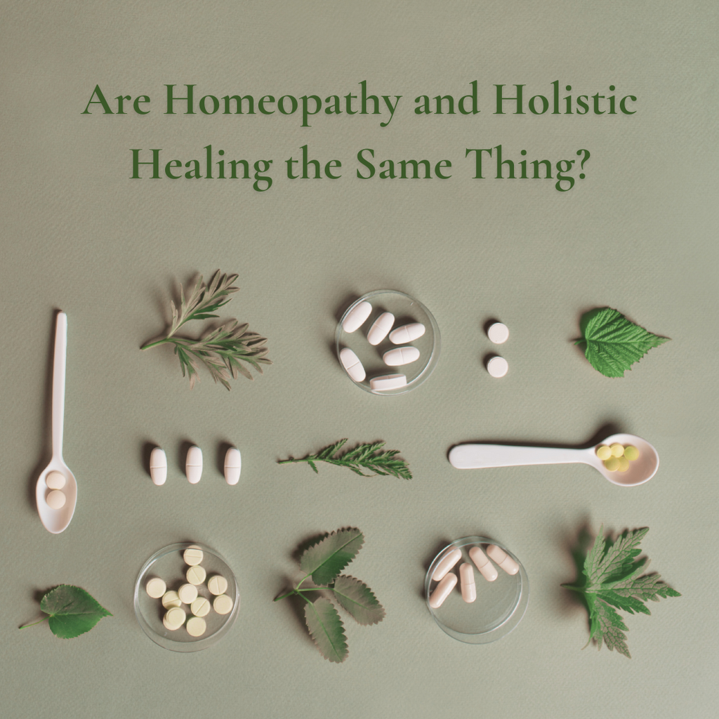 Are Homeopathy and Holistic Healing the Same Thing?