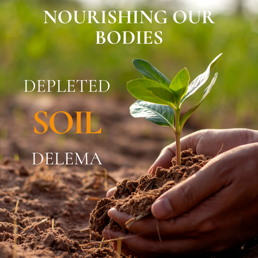 Nourishing Our Bodies: The Depleted Soil Dilemma and the Role of Supplements, Herbs and Spices