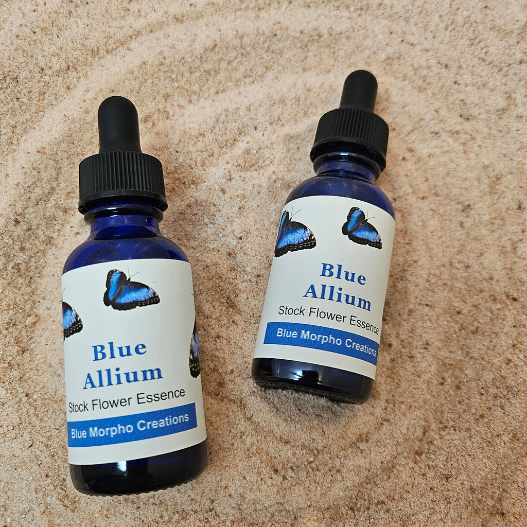 Blue Allium Flower Essence - Blue Morpho