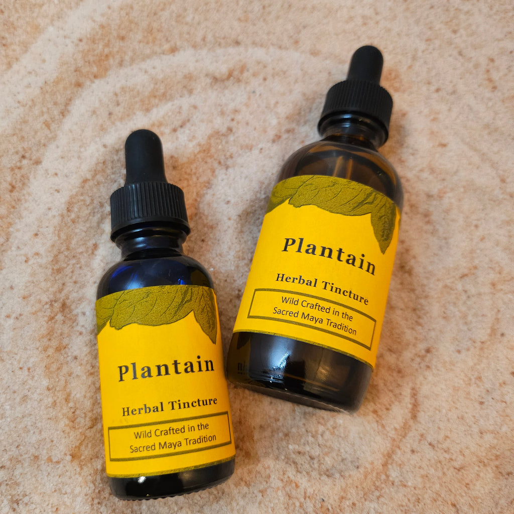 Plantain Herbal Tincture