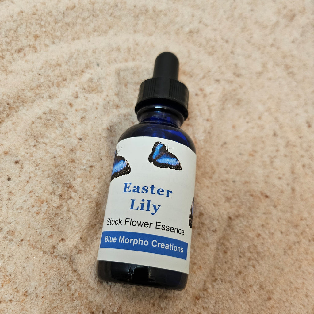 Easter Lily Flower Essence - Blue Morpho