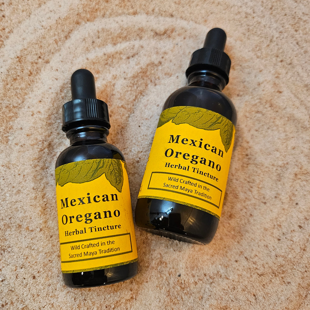 Mexican Oregano Herbal Tincture