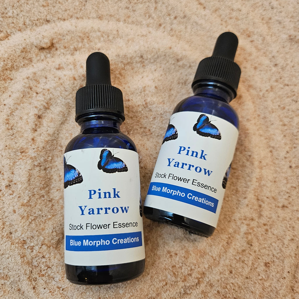 Pink Yarrow Flower Essence - Blue Morpho