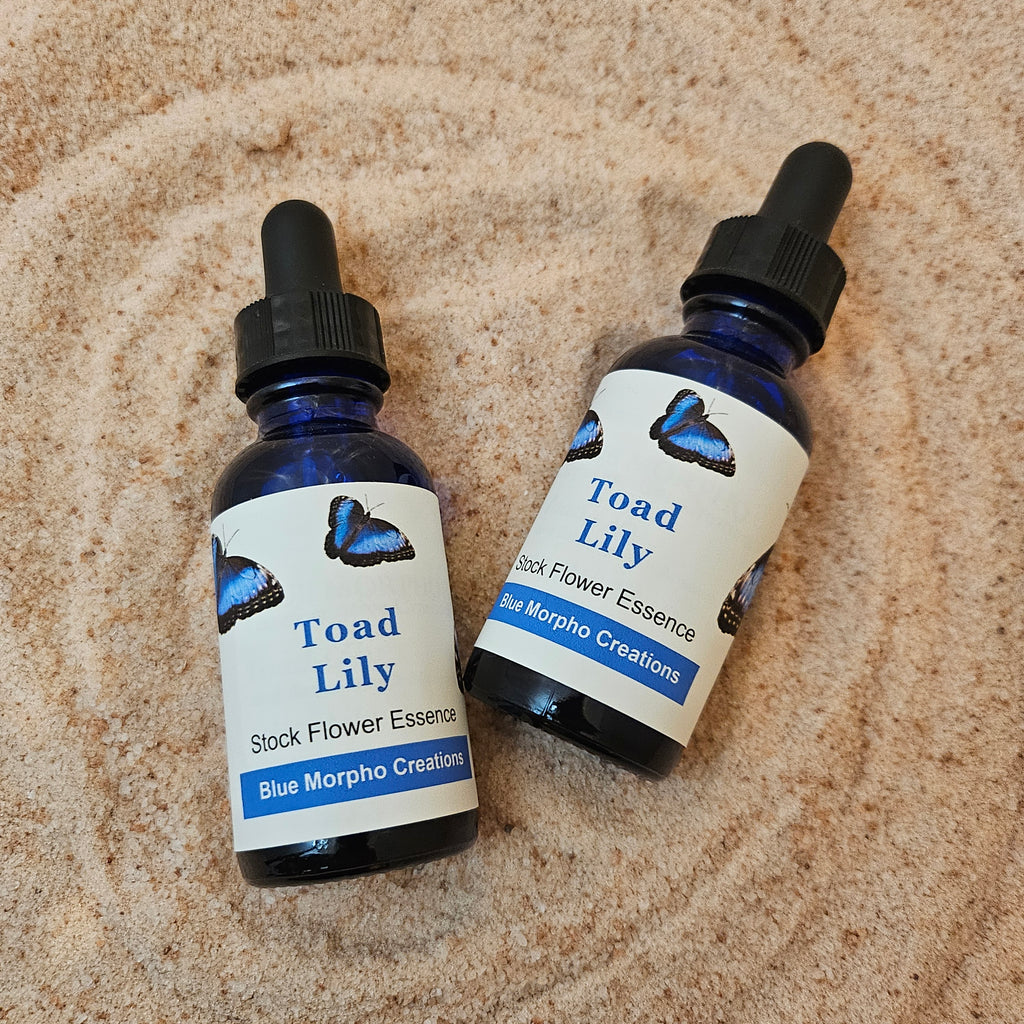 Toad Lily Flower Essence - Blue Morpho