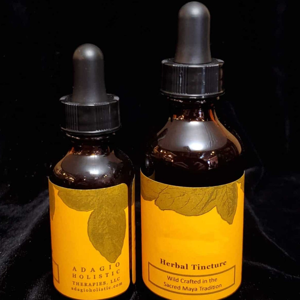 Kidney Tonic Herbal Tincture - Rainforest Remedies