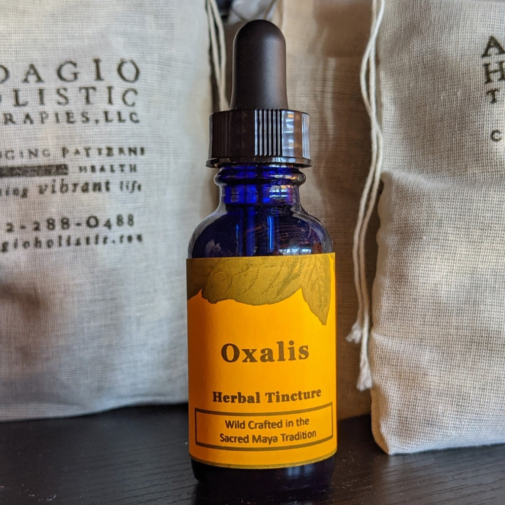 Oxalis Herbal Tincture